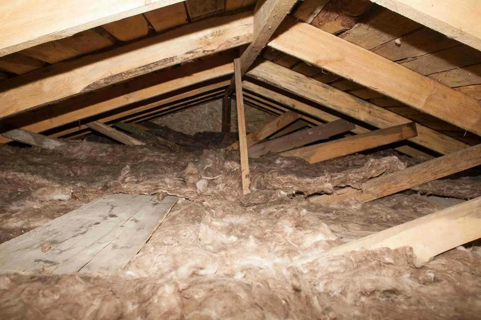 Insulation Removal
