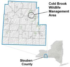 Coldbrook Springs Wildlife Management Area