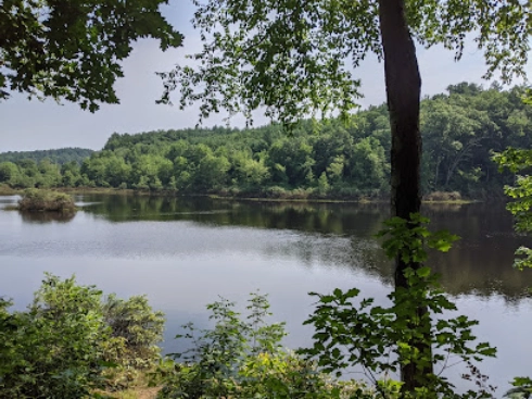 Westville Recreation Area