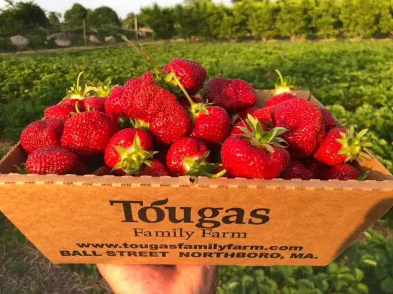 Tougas Family Farm