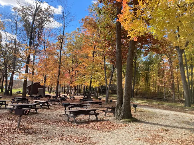 Douglas State Forest