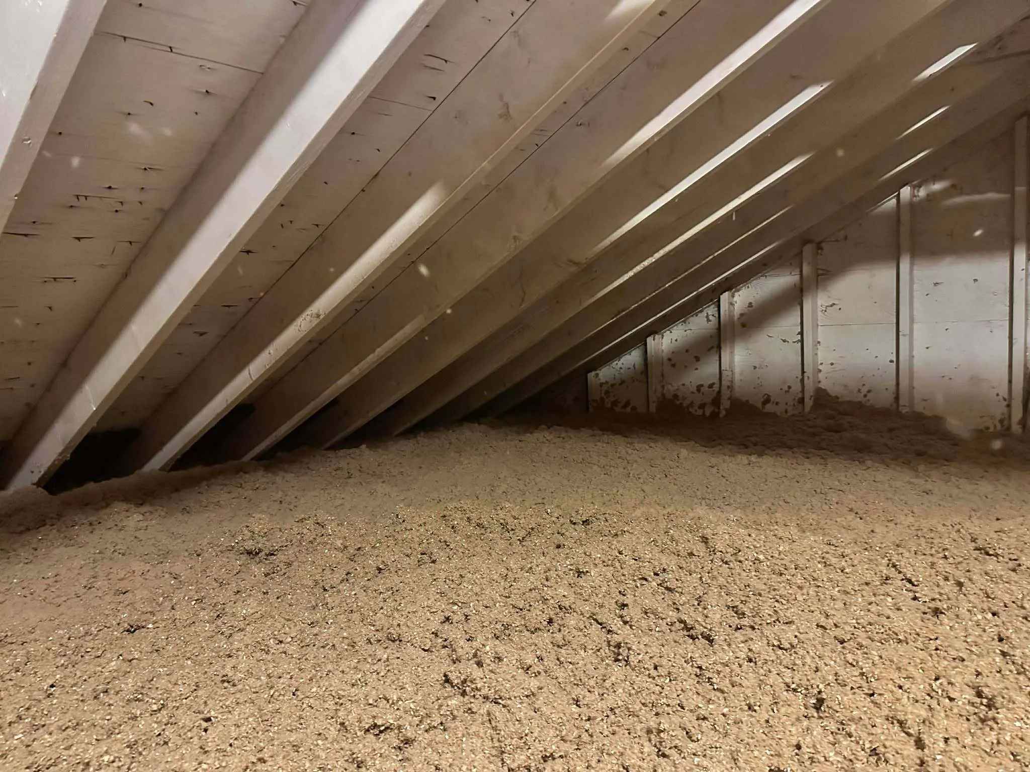 Does Blown-In Insulation Prevent Attic Pests in Sutton, MA?