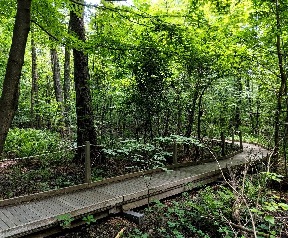 Broadmeadow Brook Conservation Center in Quinsigamond Village, MA