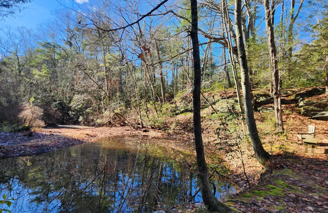 Capen Hill Nature Sanctuary in Charlton, MA
