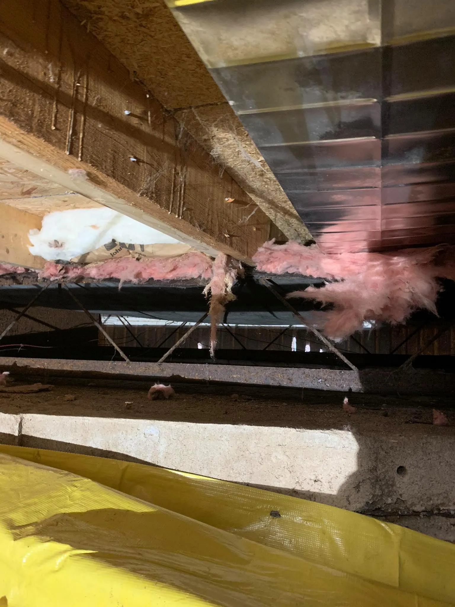 The Safer Choice: Professional vs. DIY Insulation Removal