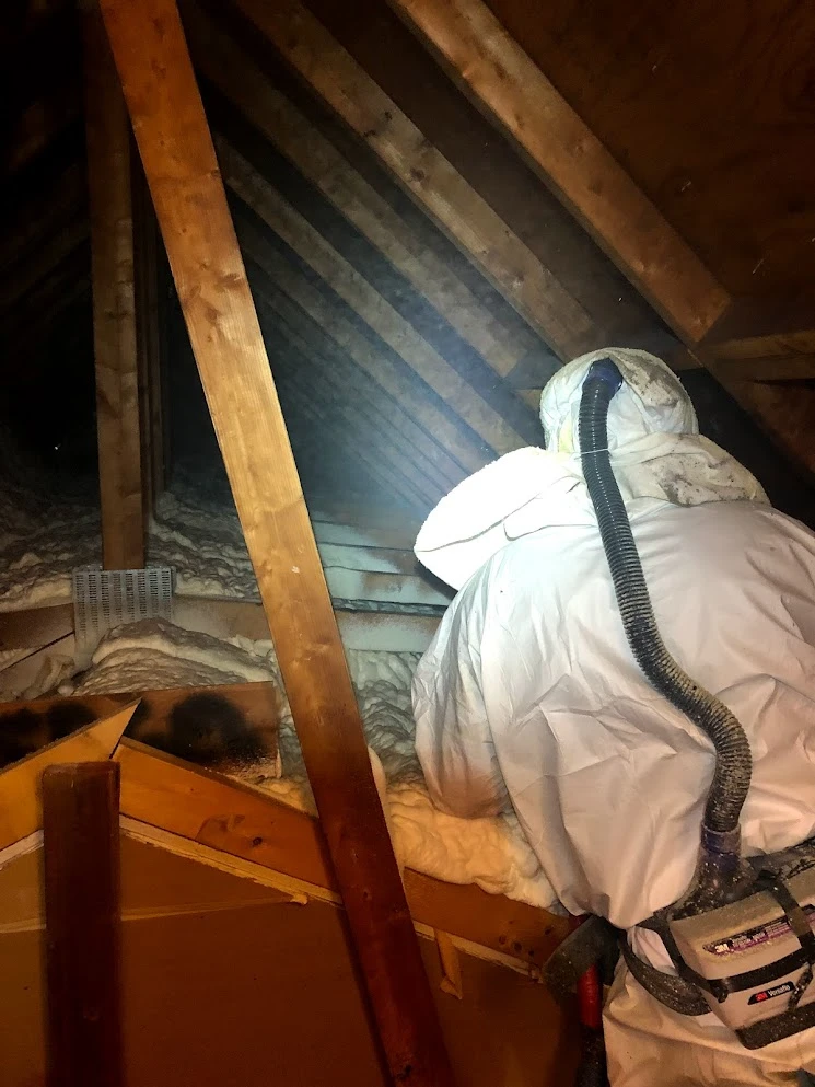 Best Insulation Materials to Reduce Noise and Improve Comfort in West Boylston, MA_ insulation services
