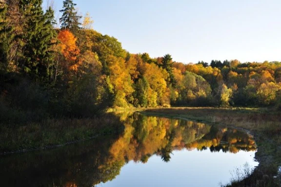 Peaceful Hollow Conservation Area