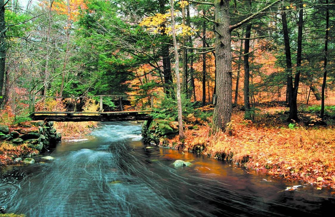 Swift River Valley Scenic Area