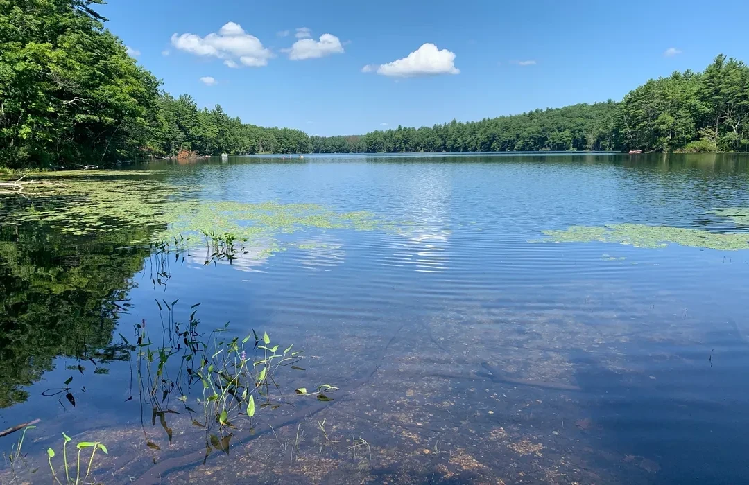 Ware River Watershed